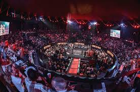 VIP Sport Event Access